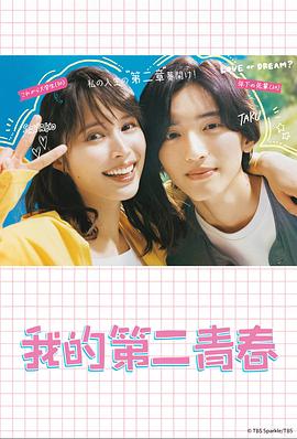 上海专业网站推广优化